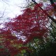 Dsc02406